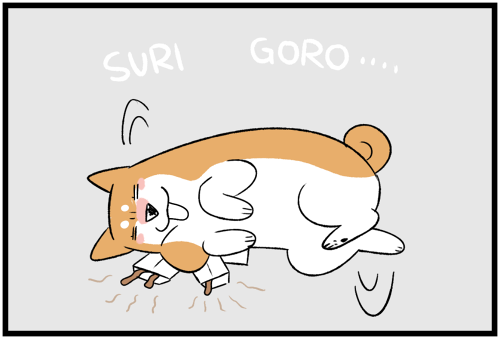 20240105おとしば玉2