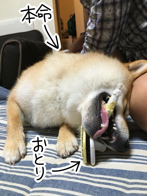 04uomyx4