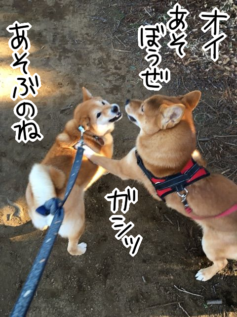 3o4gtdj4