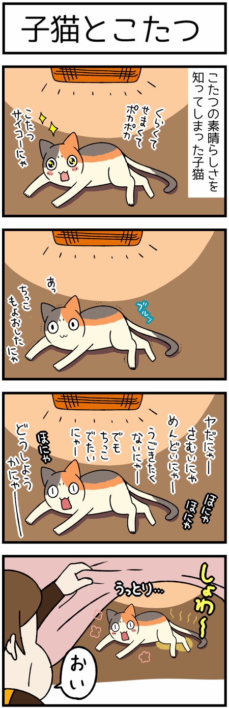 20200117子猫と炬こたつ1