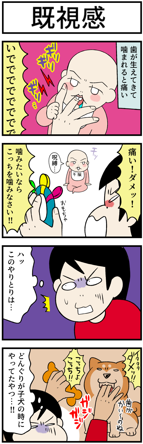 20231104既視感1