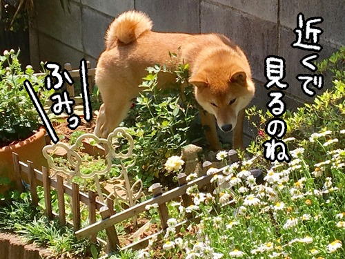 jm49kxyd