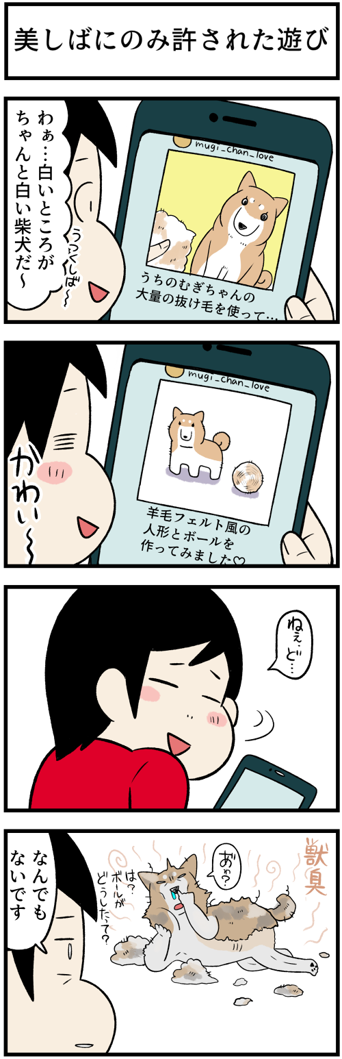 20220520毛で遊ぼう1