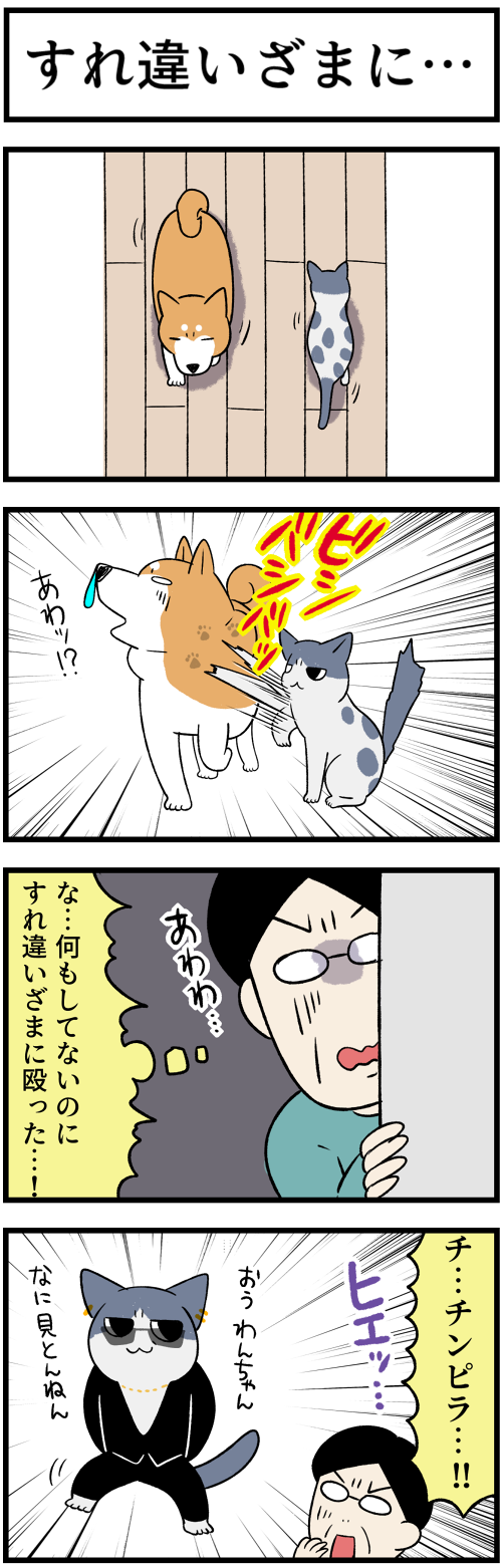 20220425チンピラ1