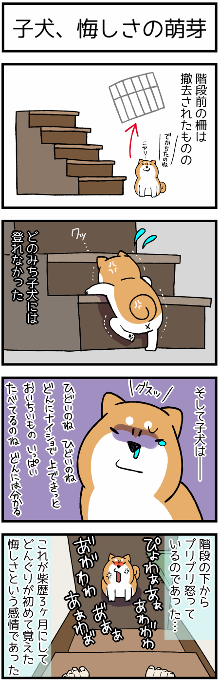 20170729階段と悔しさ1