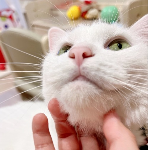 FullSizeRender
