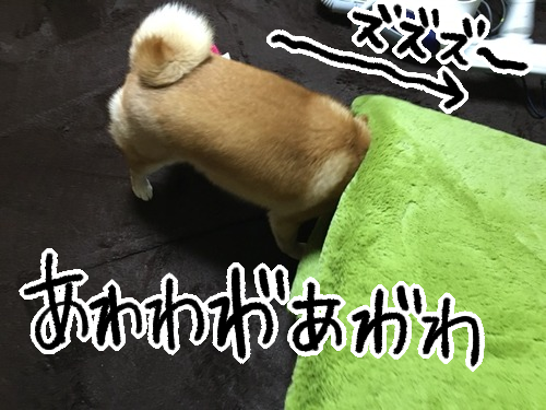 mh3aecqw