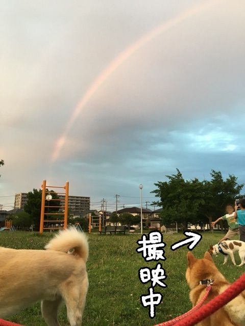 f8koisqc