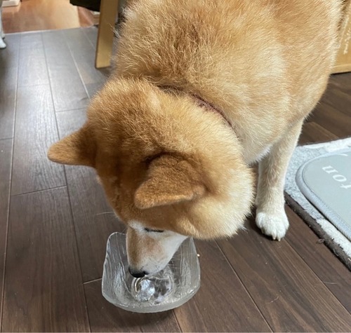 FullSizeRender
