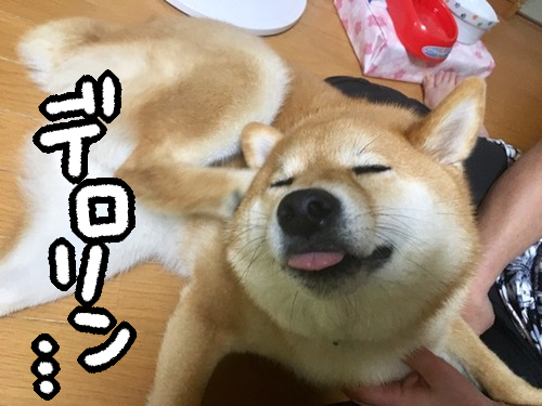 fywt3j7x