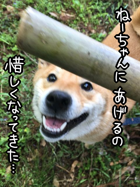 f7rlpoxs