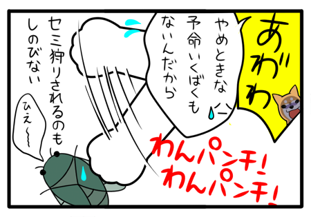 7.png
