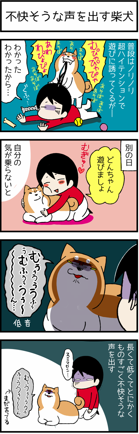 20161127不快そうな1