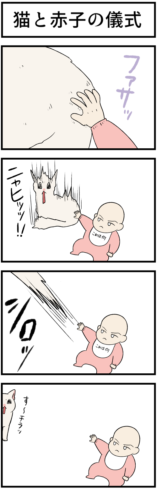 20230426猫と赤子の儀式1
