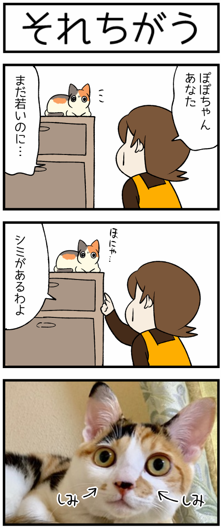 20191030しみ1