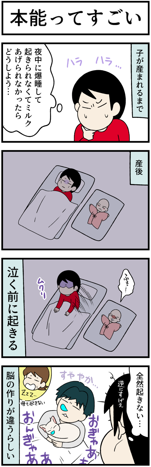 20230709本能ってすごい1