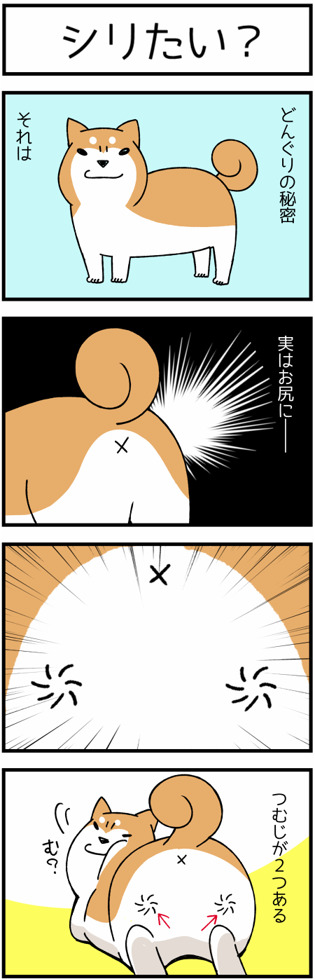 柴犬はみんなそう どんぐりだけ 実はお尻に 柴犬どんぐり三毛猫たんぽぽ Powered By ライブドアブログ 柴犬はみんなそう どんぐりだけ 実はお尻に 柴犬どんぐり三毛猫たんぽぽ Powered By ライブドアブログ