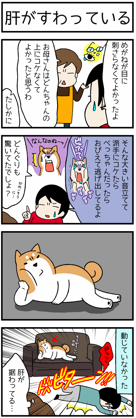 20180105動じない1