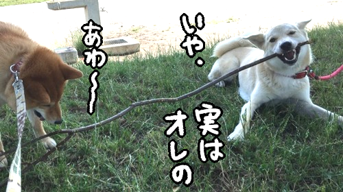 ojtkbf9p