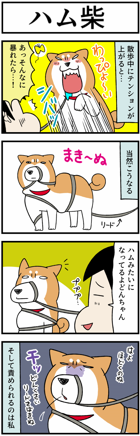 20210313リード1