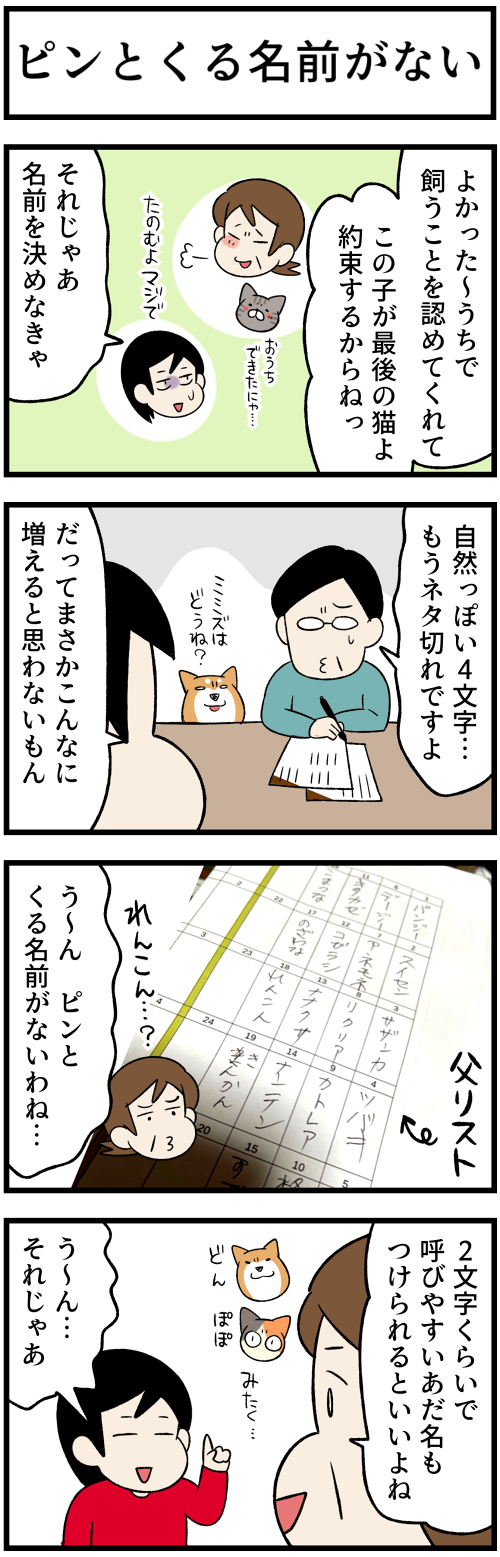 20220726賢すぎるキジトラ、ピンとくる名前2