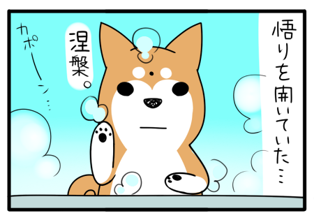 8.png