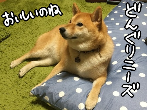 ol4y4gq7
