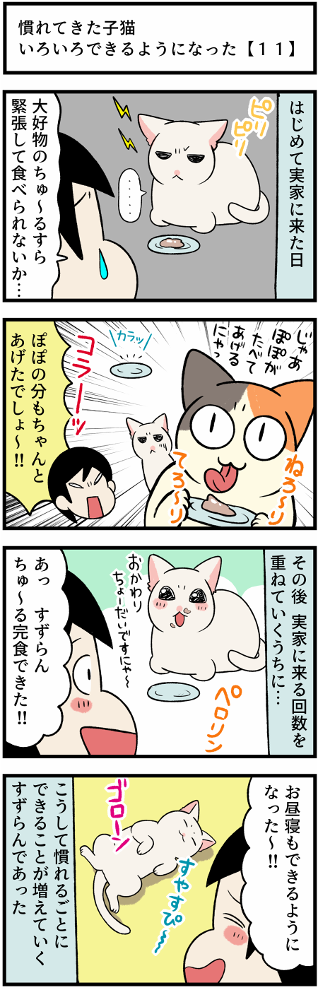 20210927順応する子猫1