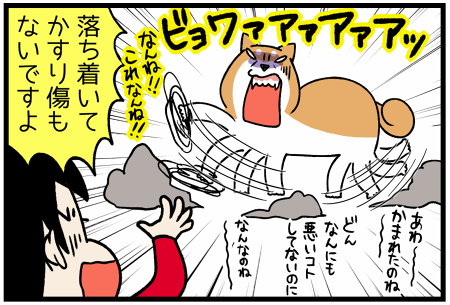 20170708罠2