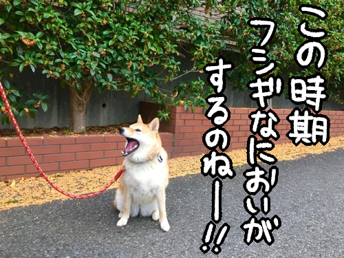 ldpq0o4h