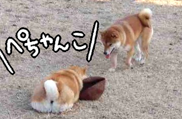 新規キャンバス