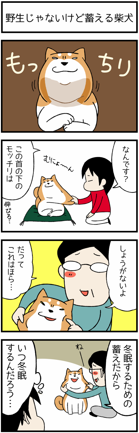 20161125たくわえる1