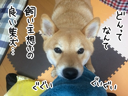 1l016b7e