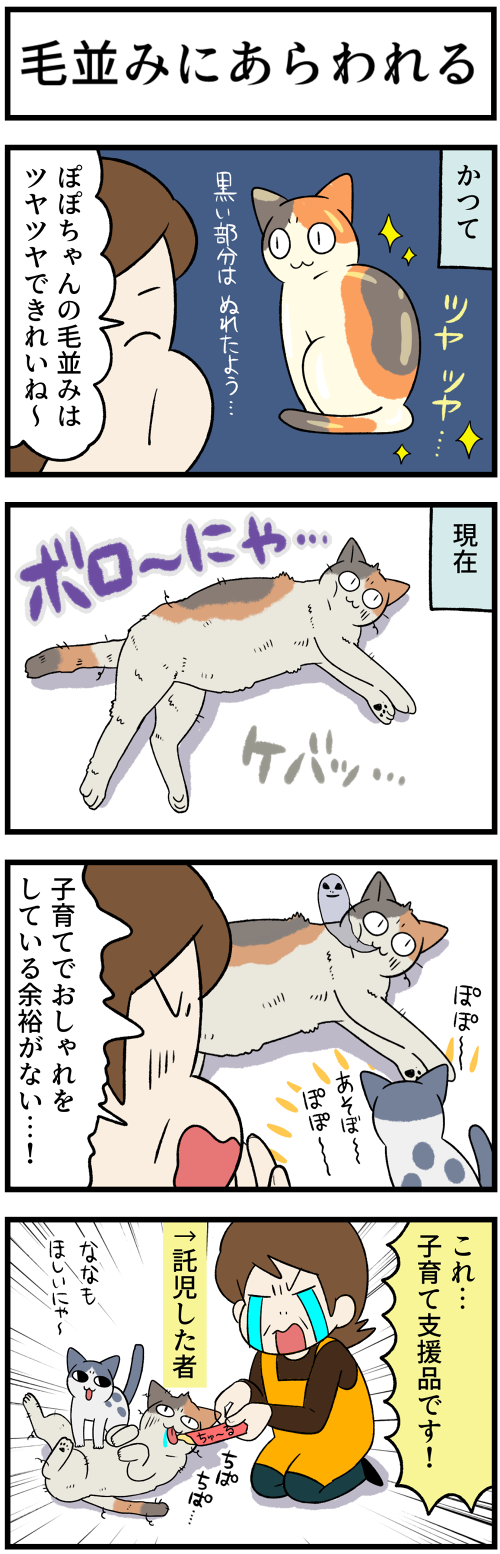 20220425チンピラ2