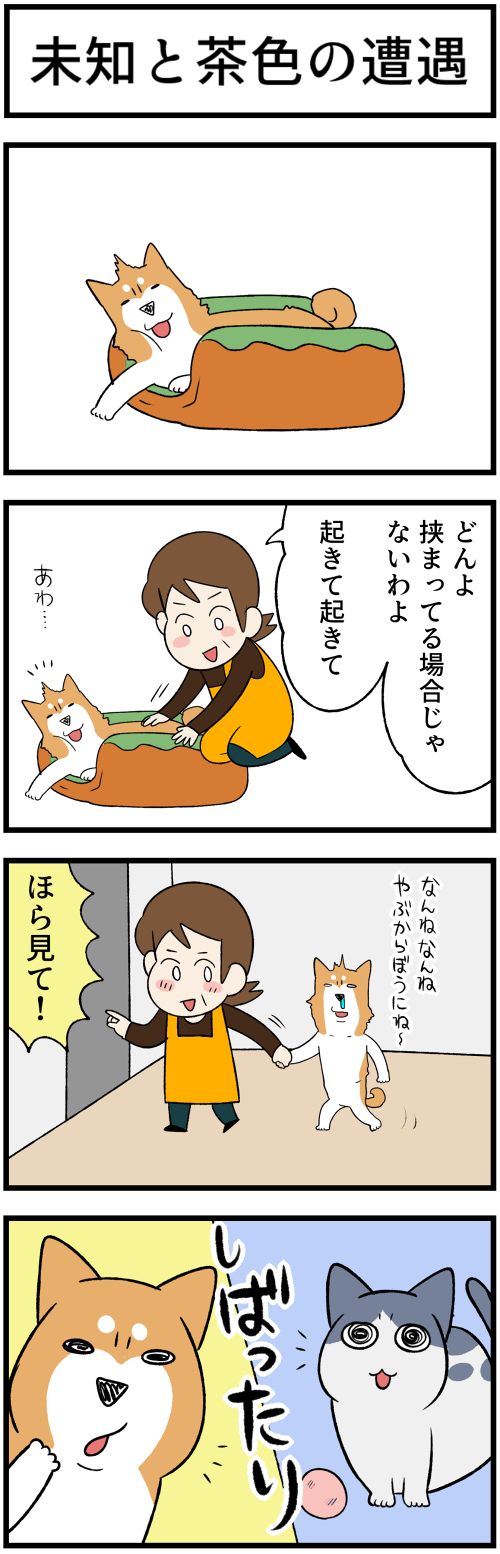 20220309未知との遭遇1
