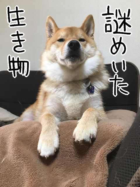 wtoq6mf1