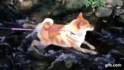 L9yWP4