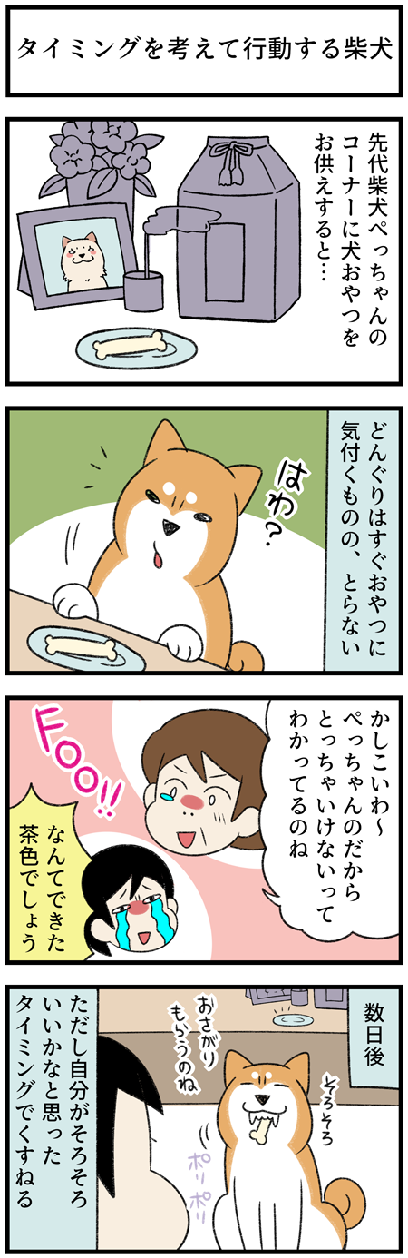 20211006お供えと猫の舌1