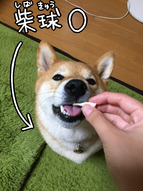gwi3veu7