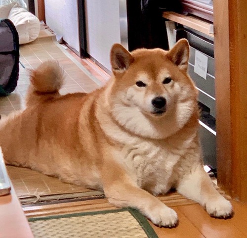 FullSizeRender