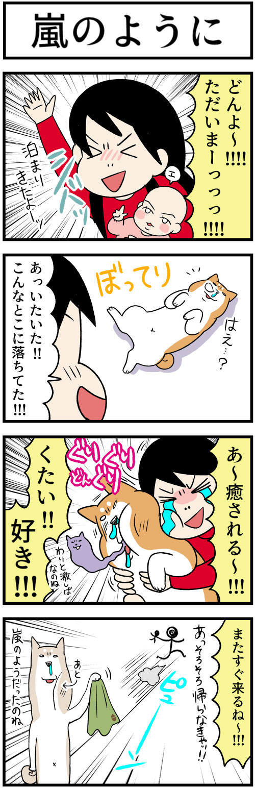 20230331嵐のように、ガーデニング1