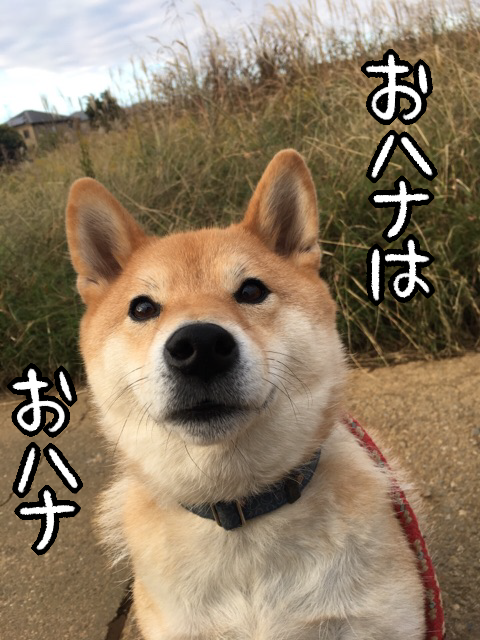 dd66e661