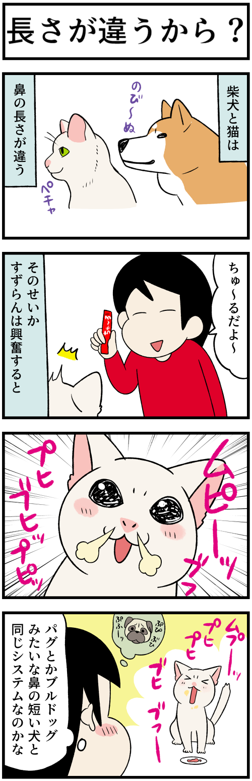 20220612鼻1