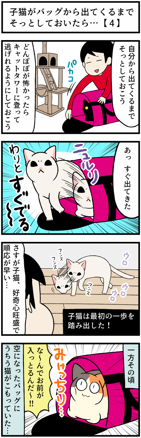 20210919そっとしておく1