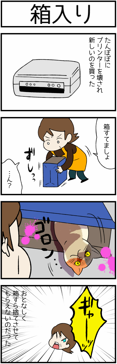 20200309箱入り1