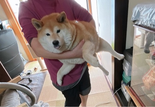 FullSizeRender