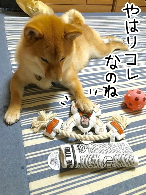 ukquxvwj