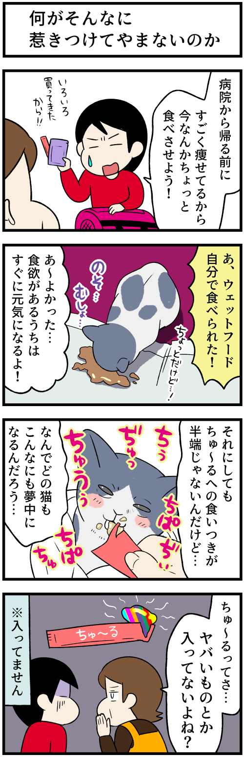 20220101子猫４1