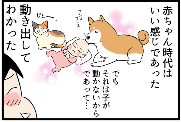 20260616憧れと現実2