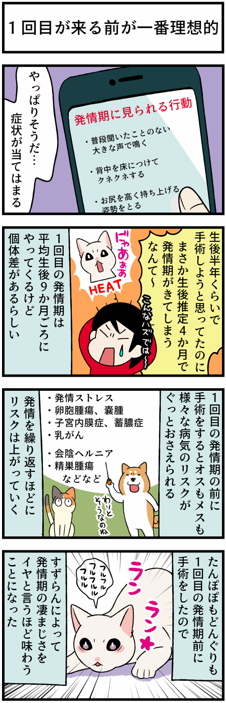 202120923発情期2